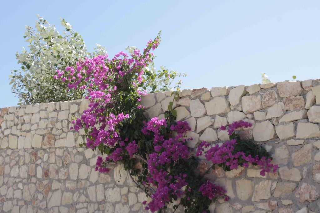 Crete View Βίλα Μαράθι Δωμάτιο φωτογραφία